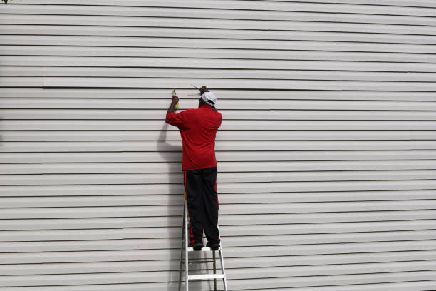 Best Custom Siding Design  in Piedmont, AL