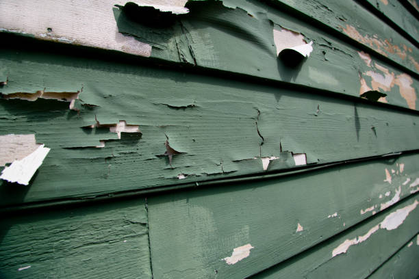  Piedmont, AL Siding Installation Pros