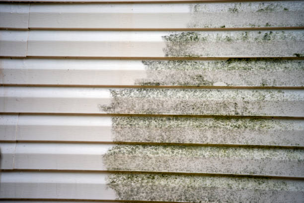 Best Residential Vinyl Siding Installation  in Piedmont, AL