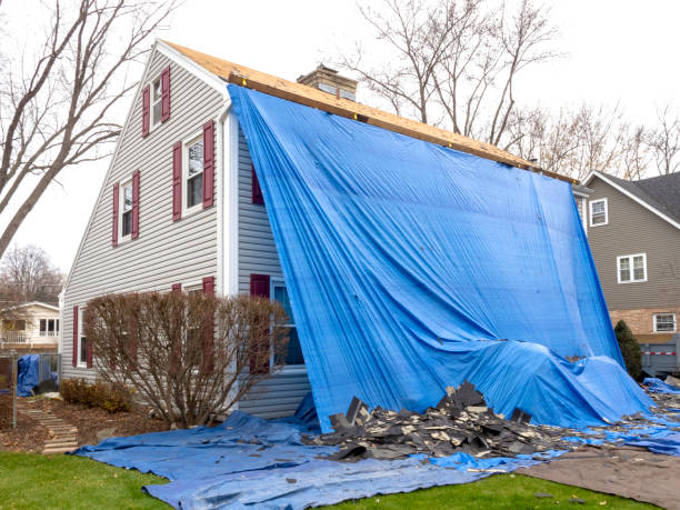 Best Weatherproofing and Sealing  in Piedmont, AL