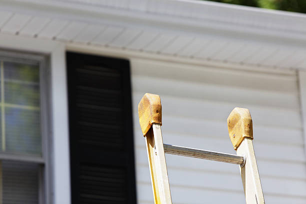 Best Storm Damage Siding Repair  in Piedmont, AL